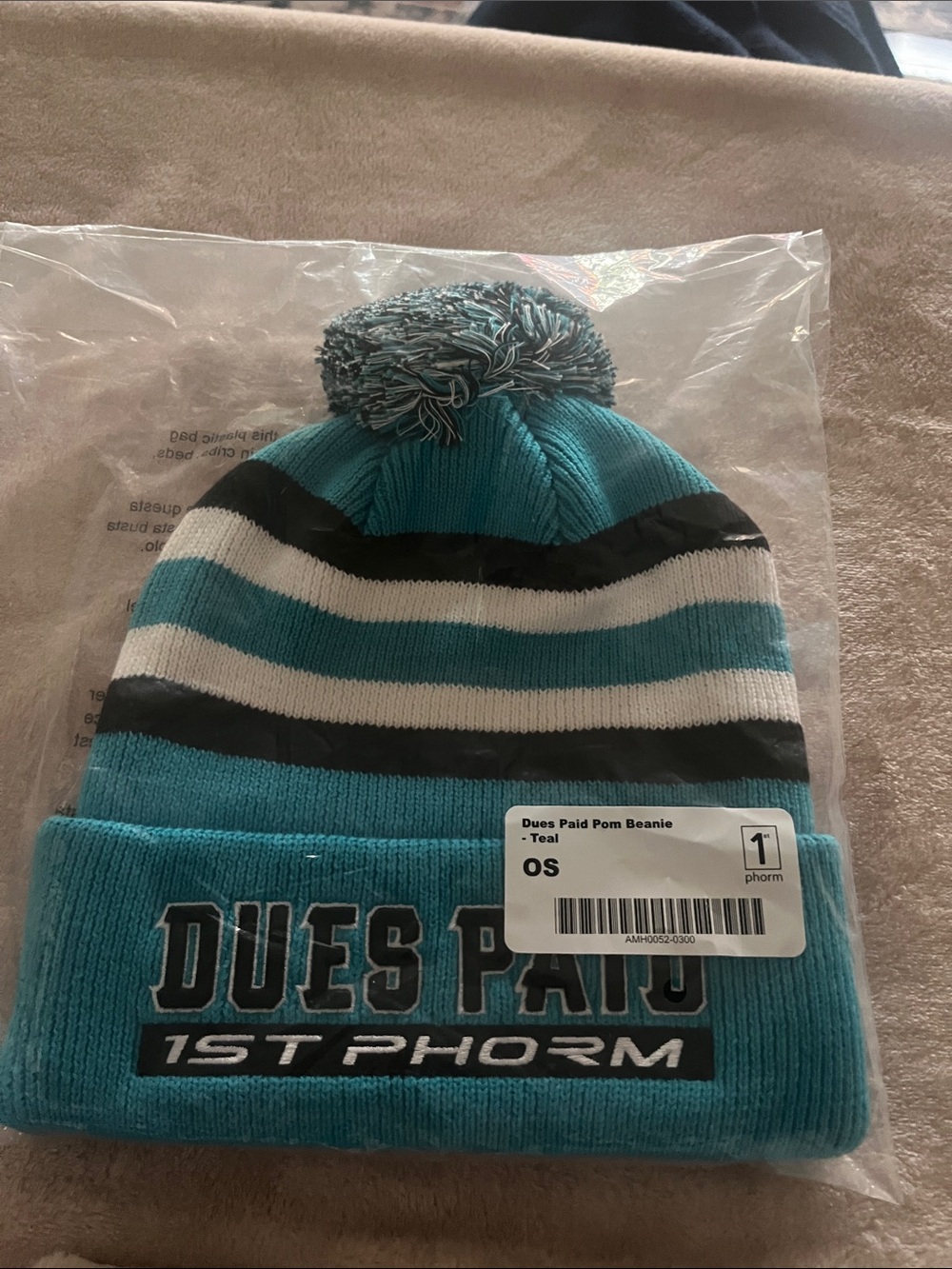 NWT - Teal Striped Pom Beanie with 'Dues Paid' Embroidery - 1st Phorm